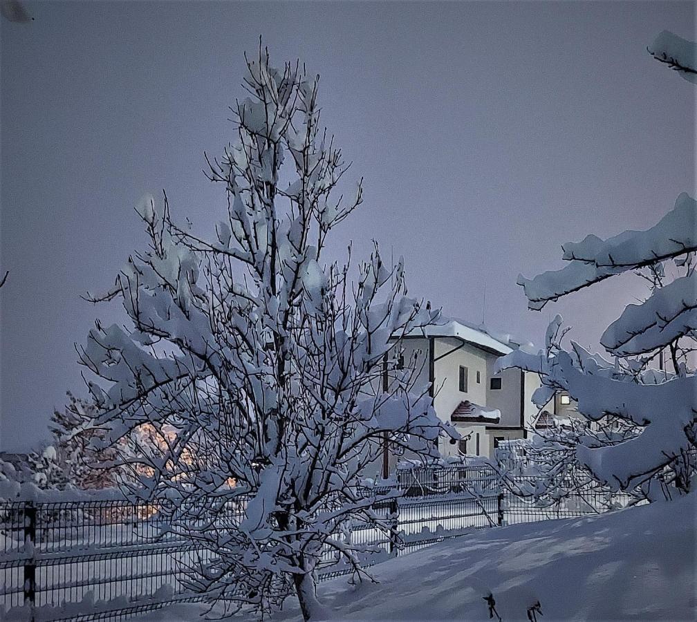 Pinerose Resort Bansko Luaran gambar