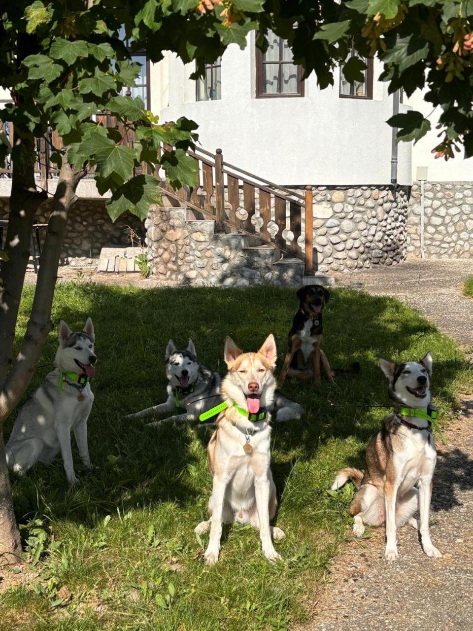 Pinerose Resort Bansko Luaran gambar
